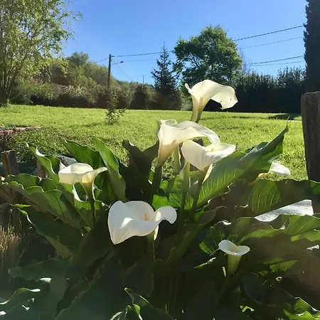 Un Air De Campagne Saint-Jean-de-Thurac